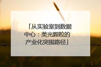 从实验室到数据中心：美光颗粒的产业化突围路径