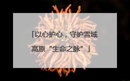 以心护心，守护雪域高原“生命之脉”