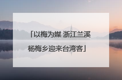 以梅为媒 浙江兰溪杨梅乡迎来台湾客