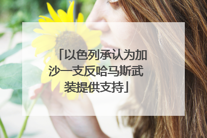 以色列承认为加沙一支反哈马斯武装提供支持