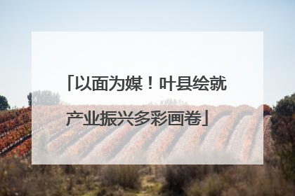以面为媒！叶县绘就产业振兴多彩画卷