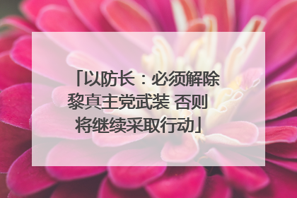 以防长：必须解除黎真主党武装 否则将继续采取行动