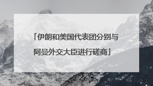 伊朗和美国代表团分别与阿曼外交大臣进行磋商