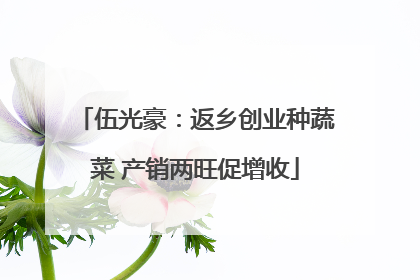 伍光豪：返乡创业种蔬菜 产销两旺促增收