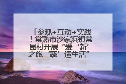 参观+互动+实践！常熟市沙家浜镇常昆村开展“爱‘新’之旅‘蔬’适生活”参观学习活动