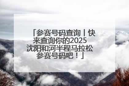 参赛号码查询丨快来查询你的2025沈阳和河半程马拉松参赛号码吧！