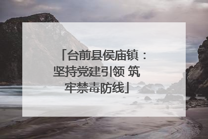 台前县侯庙镇：坚持党建引领 筑牢禁毒防线