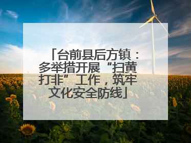 台前县后方镇：多举措开展“扫黄打非”工作，筑牢文化安全防线