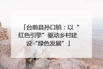 台前县孙口镇：以“红色引擎”驱动乡村建设“绿色发展”