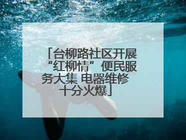 台柳路社区开展“红柳情”便民服务大集 电器维修十分火爆