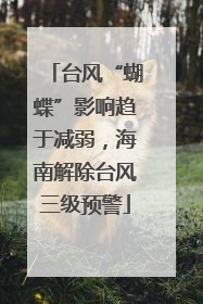 台风“蝴蝶”影响趋于减弱，海南解除台风三级预警