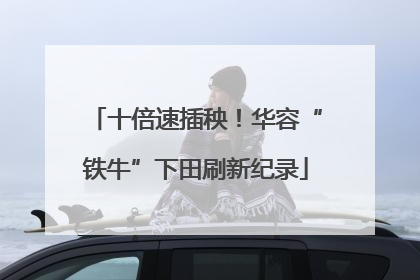 十倍速插秧！华容“铁牛”下田刷新纪录