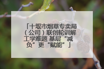 十堰市烟草专卖局（公司）联创轮训解工学难题 基层“减负”更“赋能”