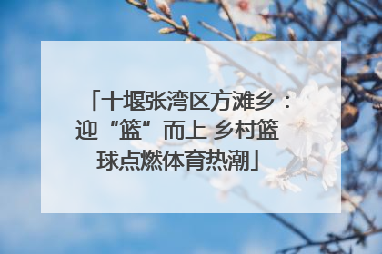 十堰张湾区方滩乡：迎“篮”而上 乡村篮球点燃体育热潮