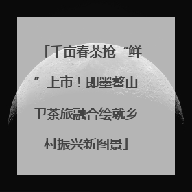 千亩春茶抢“鲜”上市！即墨鳌山卫茶旅融合绘就乡村振兴新图景