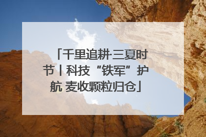 千里追耕·三夏时节丨科技“铁军”护航 麦收颗粒归仓