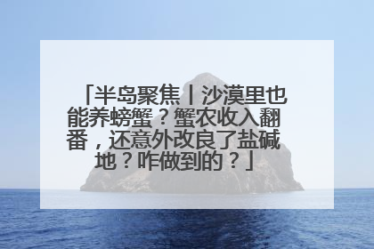 半岛聚焦丨沙漠里也能养螃蟹？蟹农收入翻番，还意外改良了盐碱地？咋做到的？