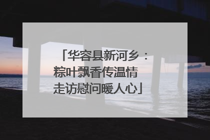 华容县新河乡：粽叶飘香传温情 走访慰问暖人心