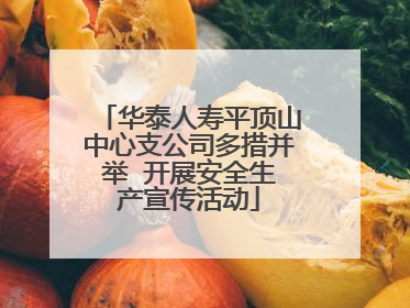 华泰人寿平顶山中心支公司多措并举  开展安全生产宣传活动