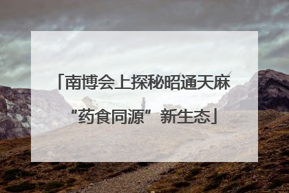 南博会上探秘昭通天麻“药食同源”新生态