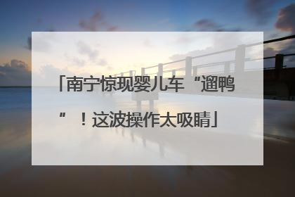 南宁惊现婴儿车“遛鸭”！这波操作太吸睛
