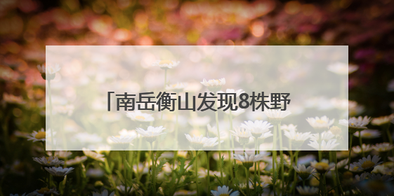 南岳衡山发现8株野外绒毛皂荚新生幼苗
