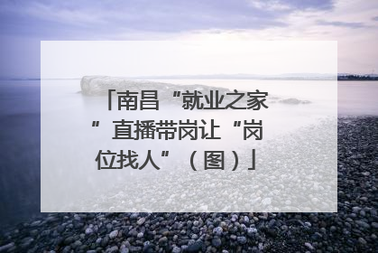 南昌“就业之家”直播带岗让“岗位找人”（图）
