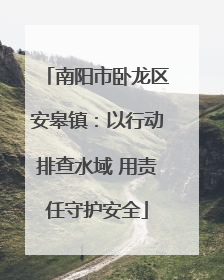 南阳市卧龙区安皋镇：以行动排查水域 用责任守护安全