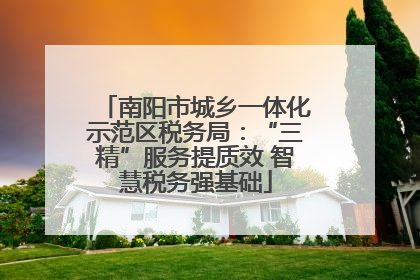 南阳市城乡一体化示范区税务局：“三精”服务提质效 智慧税务强基础