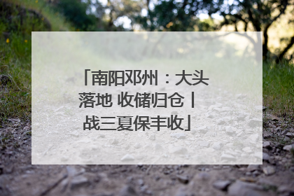南阳邓州：大头落地 收储归仓丨战三夏保丰收