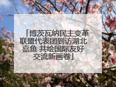 博茨瓦纳民主变革联盟代表团到访湖北嘉鱼 共绘国际友好交流新画卷