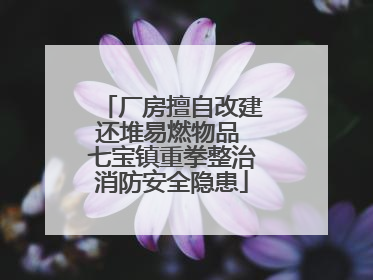 厂房擅自改建还堆易燃物品 七宝镇重拳整治消防安全隐患