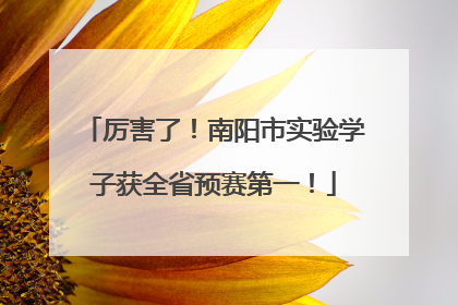 厉害了！南阳市实验学子获全省预赛第一！