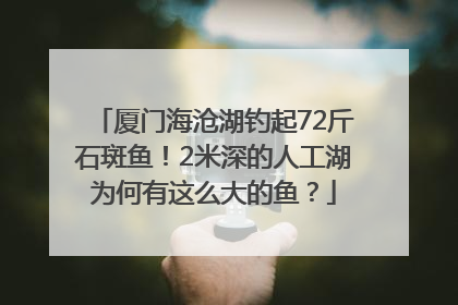 厦门海沧湖钓起72斤石斑鱼！2米深的人工湖为何有这么大的鱼？