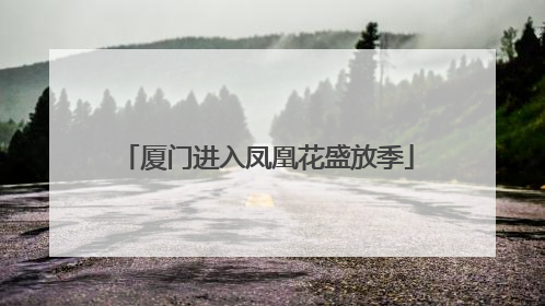 厦门进入凤凰花盛放季