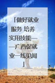 做好就业服务 培养实用技能——广西促就业一线见闻