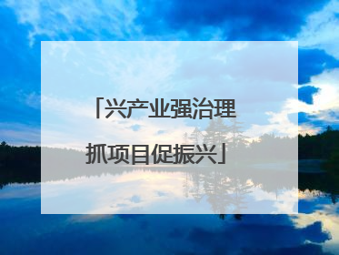 兴产业强治理 抓项目促振兴