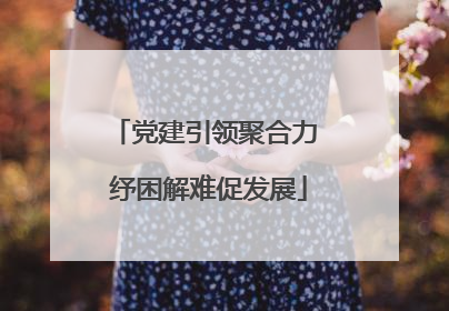 党建引领聚合力 纾困解难促发展