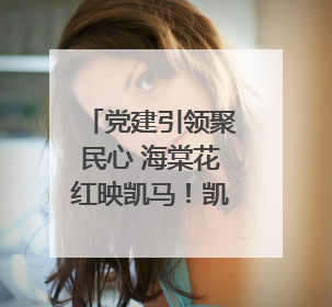党建引领聚民心 海棠花红映凯马！凯马社区第三届邻里生活节谱写幸福新篇章