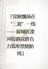 党旗飘扬在“三夏”一线——宛城区溧河街道党群合力筑牢禁烧防线