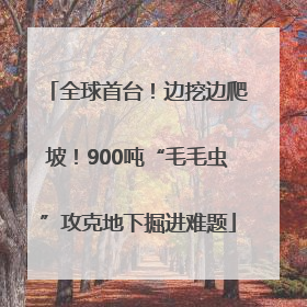 全球首台！边挖边爬坡！900吨“毛毛虫”攻克地下掘进难题