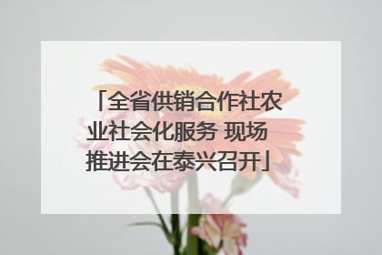 全省供销合作社农业社会化服务 现场推进会在泰兴召开