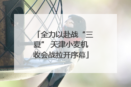 全力以赴战“三夏” 天津小麦机收会战拉开序幕