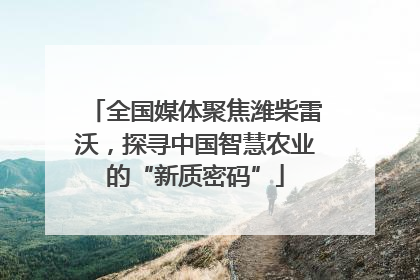 全国媒体聚焦潍柴雷沃，探寻中国智慧农业的“新质密码”