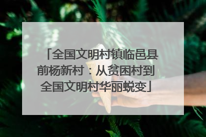 全国文明村镇临邑县前杨新村：从贫困村到全国文明村华丽蜕变