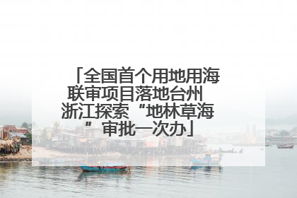 全国首个用地用海联审项目落地台州 浙江探索“地林草海”审批一次办
