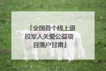 全国首个线上退役军人关爱公益项目落户甘肃