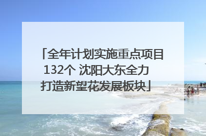 全年计划实施重点项目132个 沈阳大东全力打造新望花发展板块