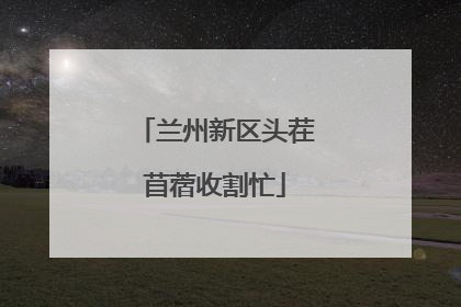 兰州新区头茬苜蓿收割忙