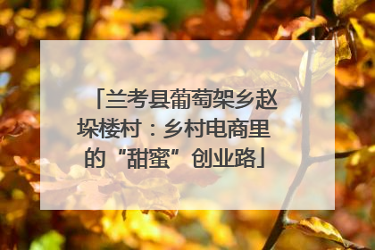 兰考县葡萄架乡赵垛楼村：乡村电商里的“甜蜜”创业路